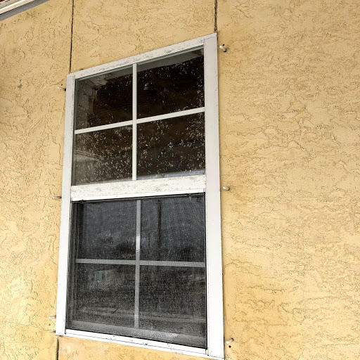 MEXICO BEACH UNIT 01 - Residential