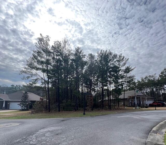HAMMOCK BAY - Land