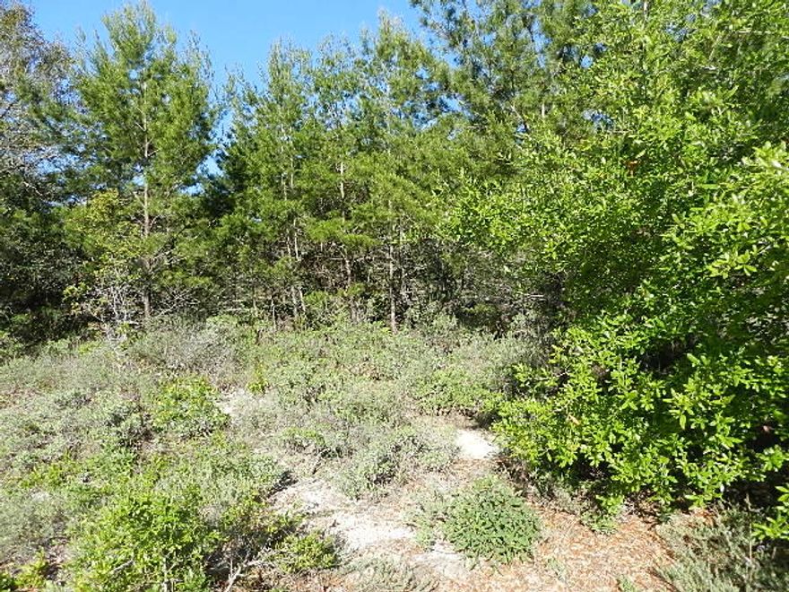 Great Lot to Build Dream home! Wonderful high and dry parcel in a quiet subdivision. Close to shopping, school and access to Hwy 98. Paved street- not many of these gems left. Drive by today and lets talk! Seller says sell! Close to Airports, boating, beaches, and military bases. Elementary school to middle school only 4 blocks away from the lot. No flood insurance is required.