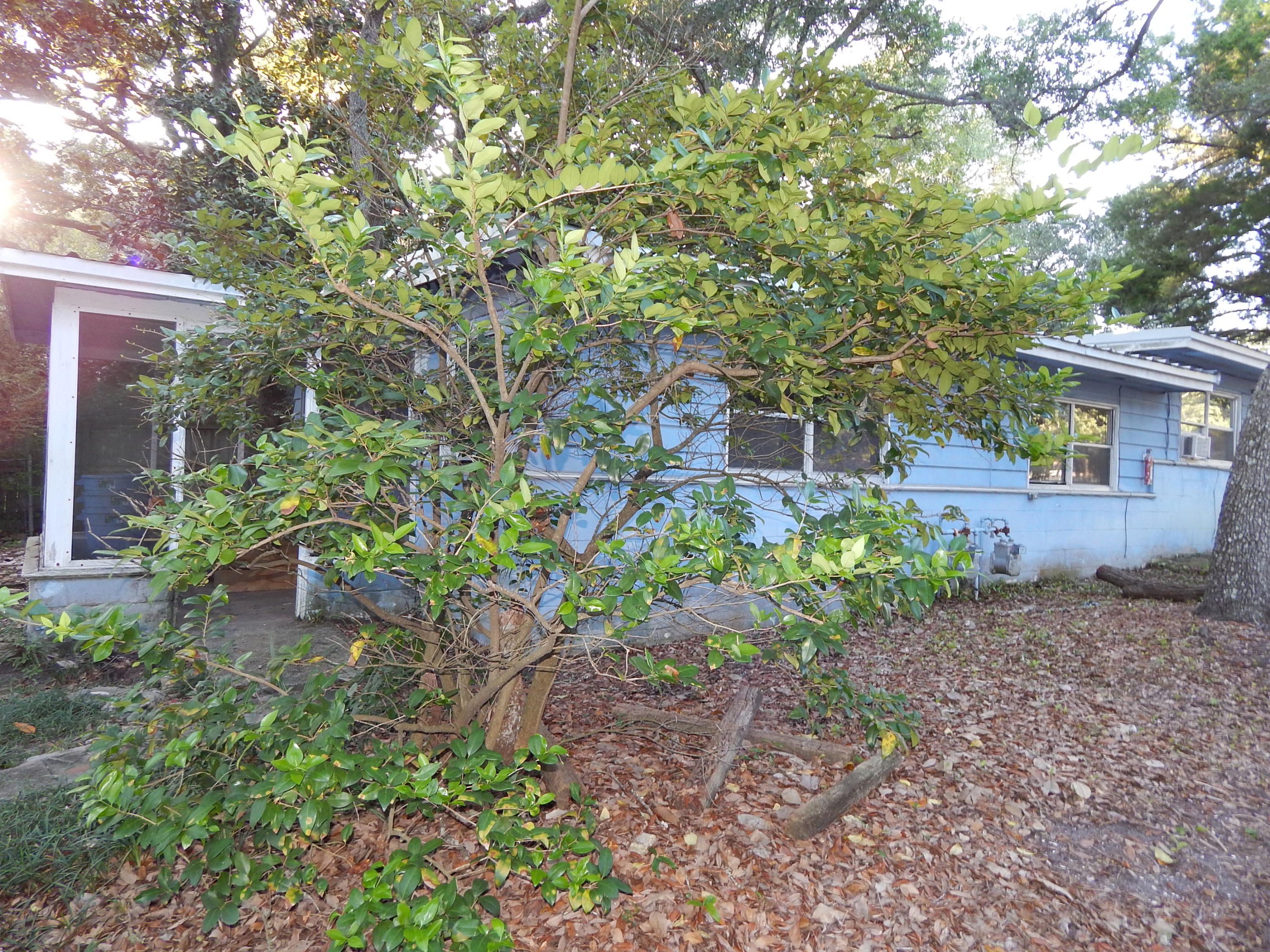 SEABREEZE - Residential