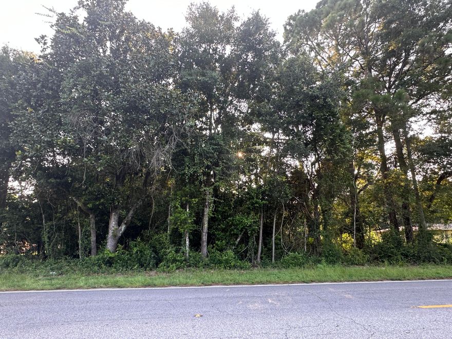 Build your dream home on this wooded lot in Milton/Bagdad on Garcon Point Road. Conveniently located near Interstate 10 for an easy commute to Pensacola and approximately a 30 minute drive to the beautiful white sandy beaches of Navarre.