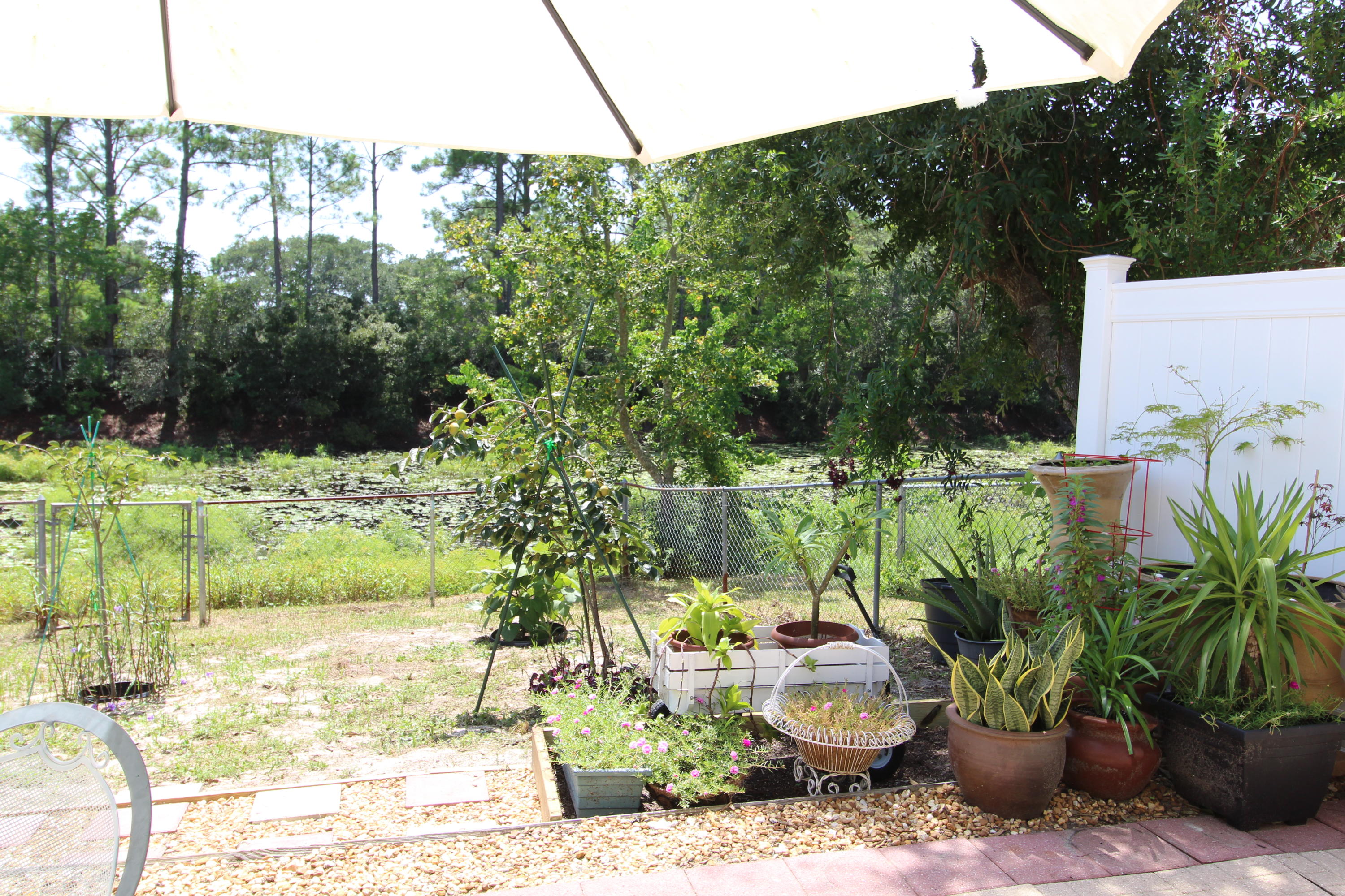 CLOVERDALE LAKE - Residential