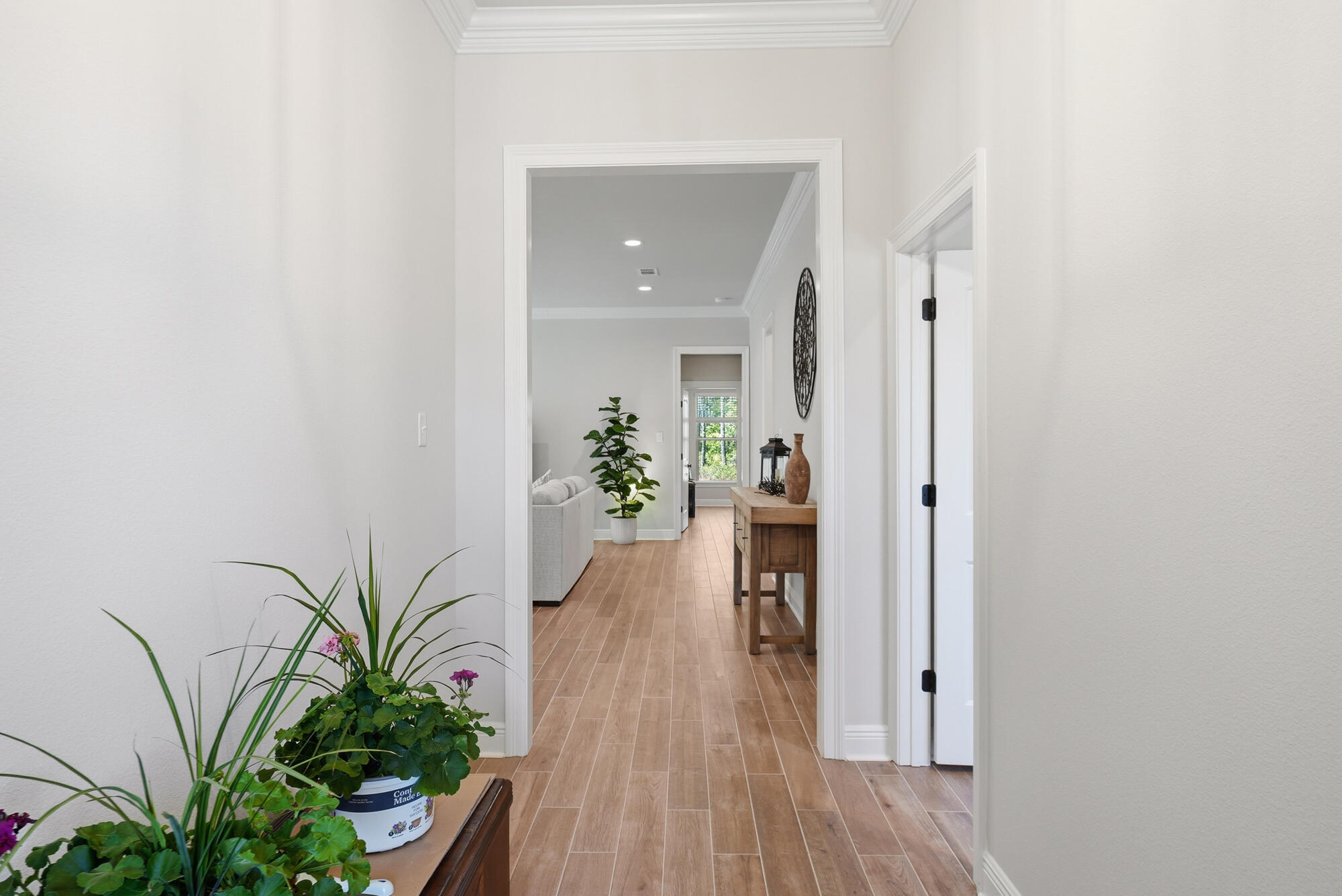 HAMMOCK BAY - SPLENDOR - Residential