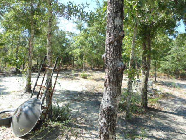 OAKWOOD HILLS UNIT 1 - Residential