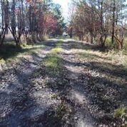 Harvey Lane, Pace Fl - Farm
