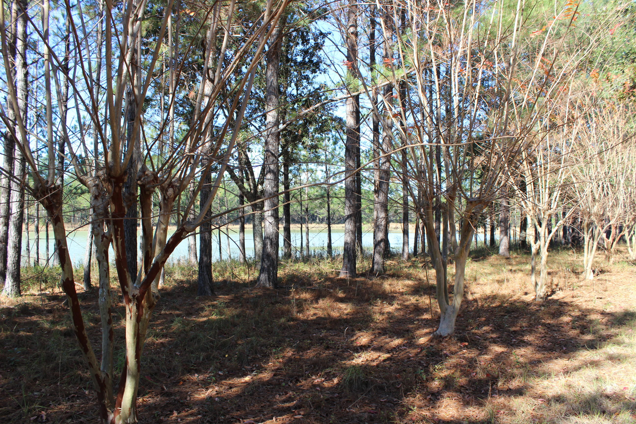 Harvey Lane, Pace Fl - Farm