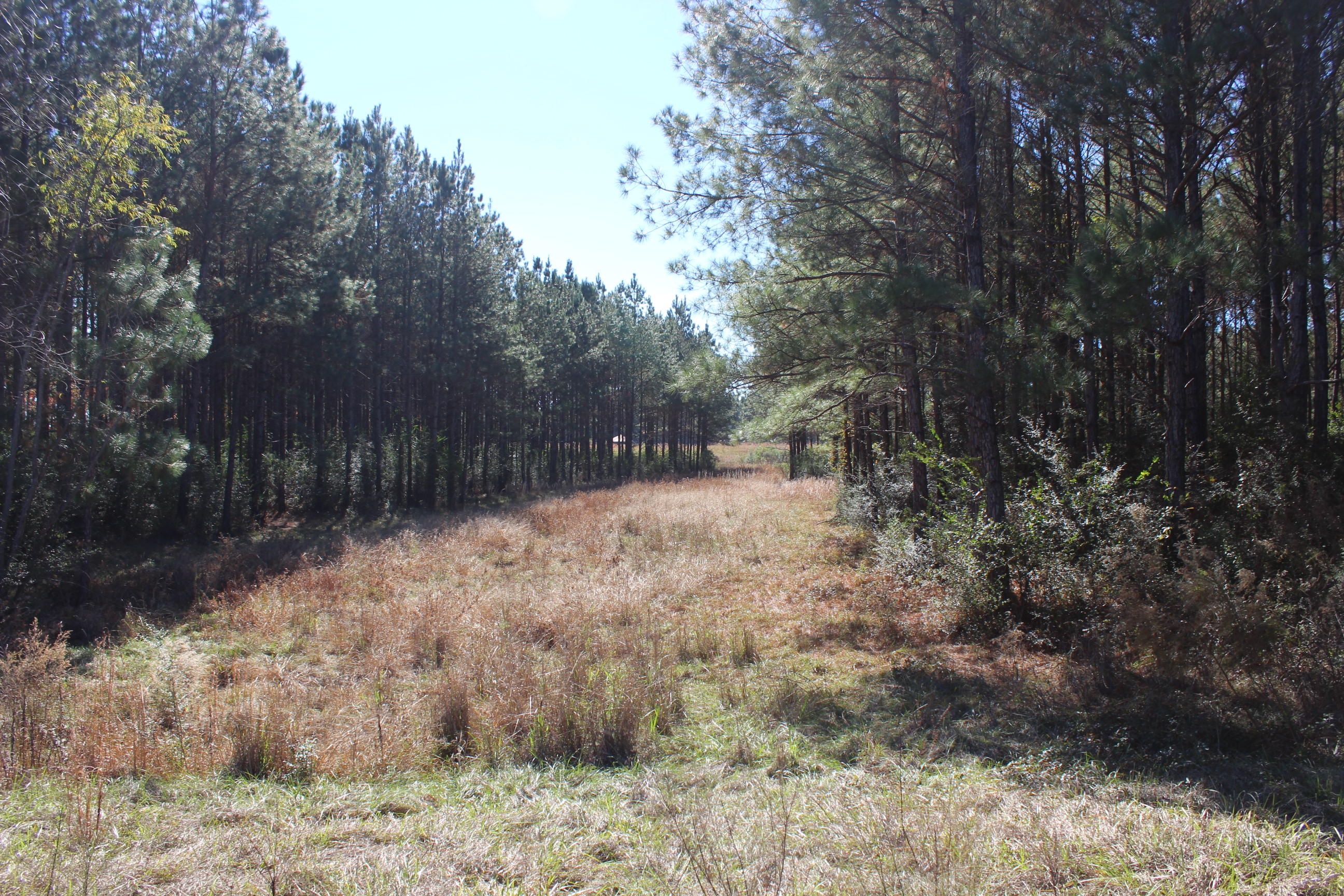 Harvey Lane, Pace Fl - Farm