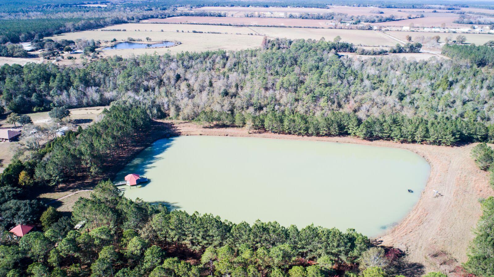 Harvey Lane, Pace Fl - Farm
