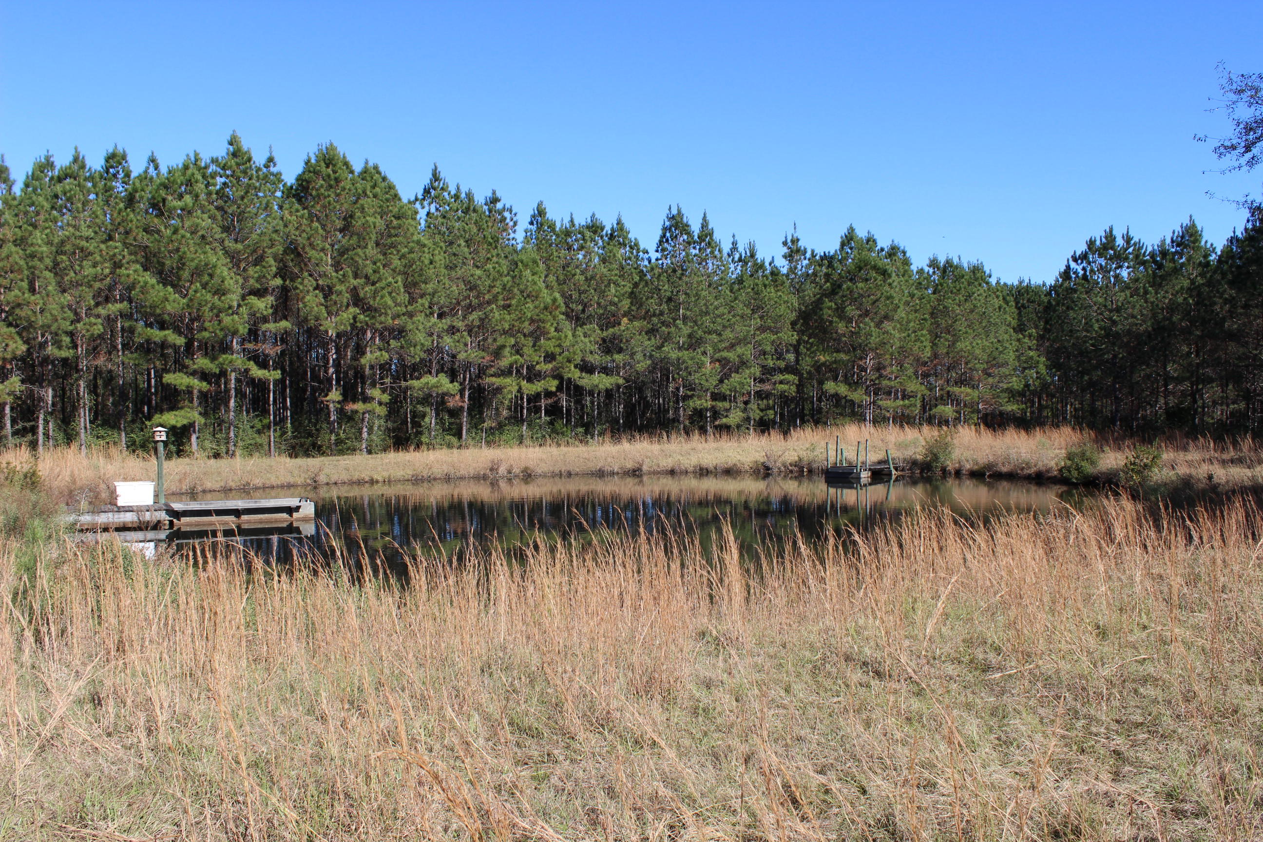 Harvey Lane, Pace Fl - Farm