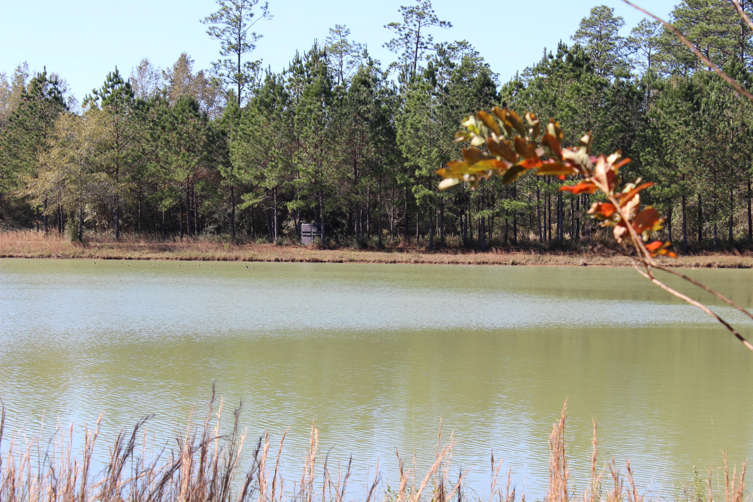 Harvey Lane, Pace Fl - Farm