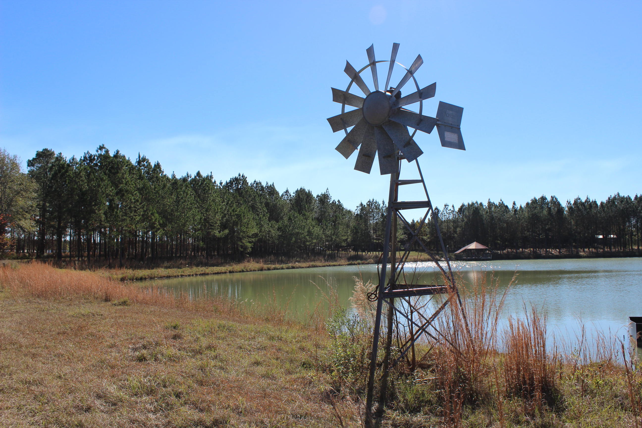 Harvey Lane, Pace Fl - Farm