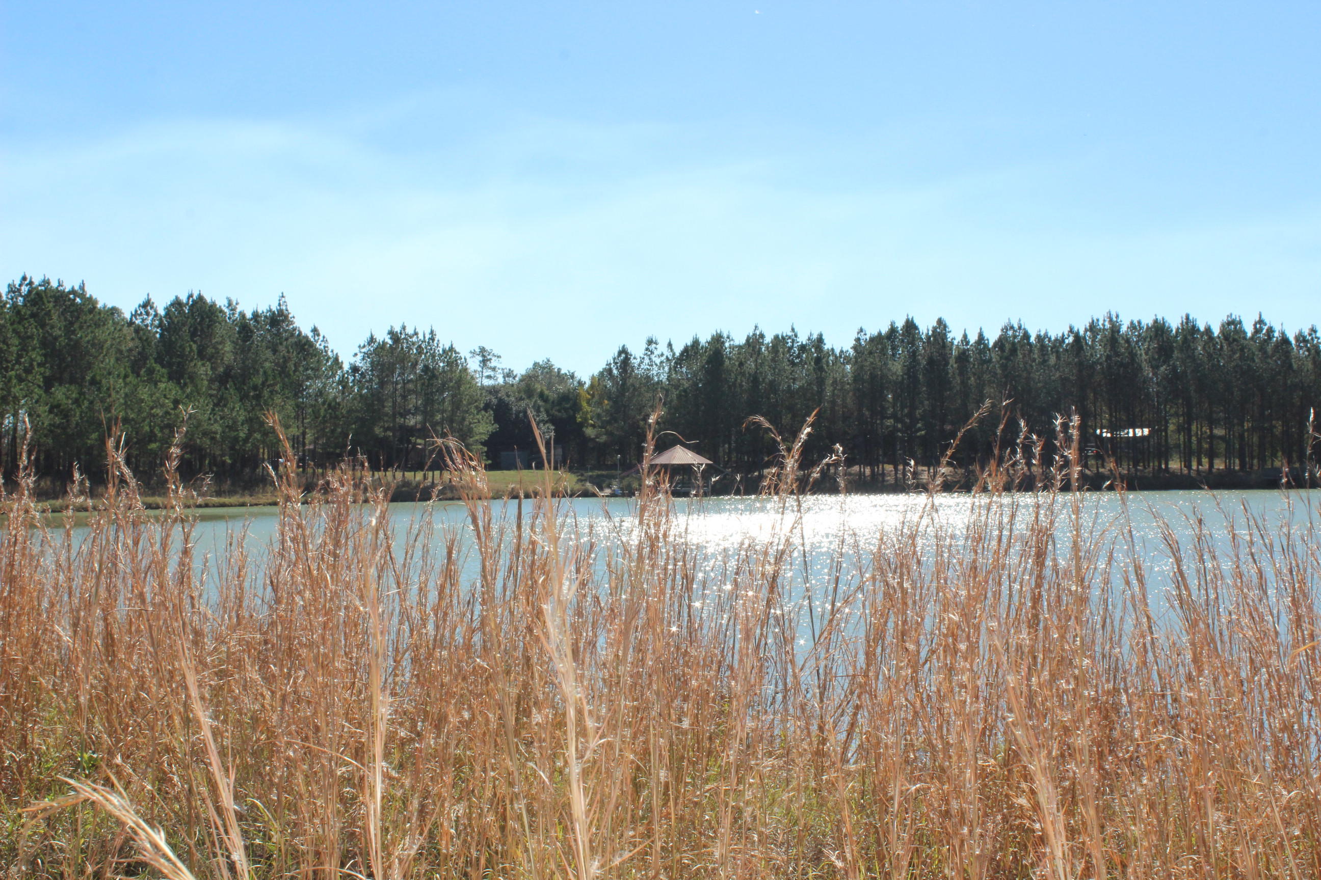 Harvey Lane, Pace Fl - Farm