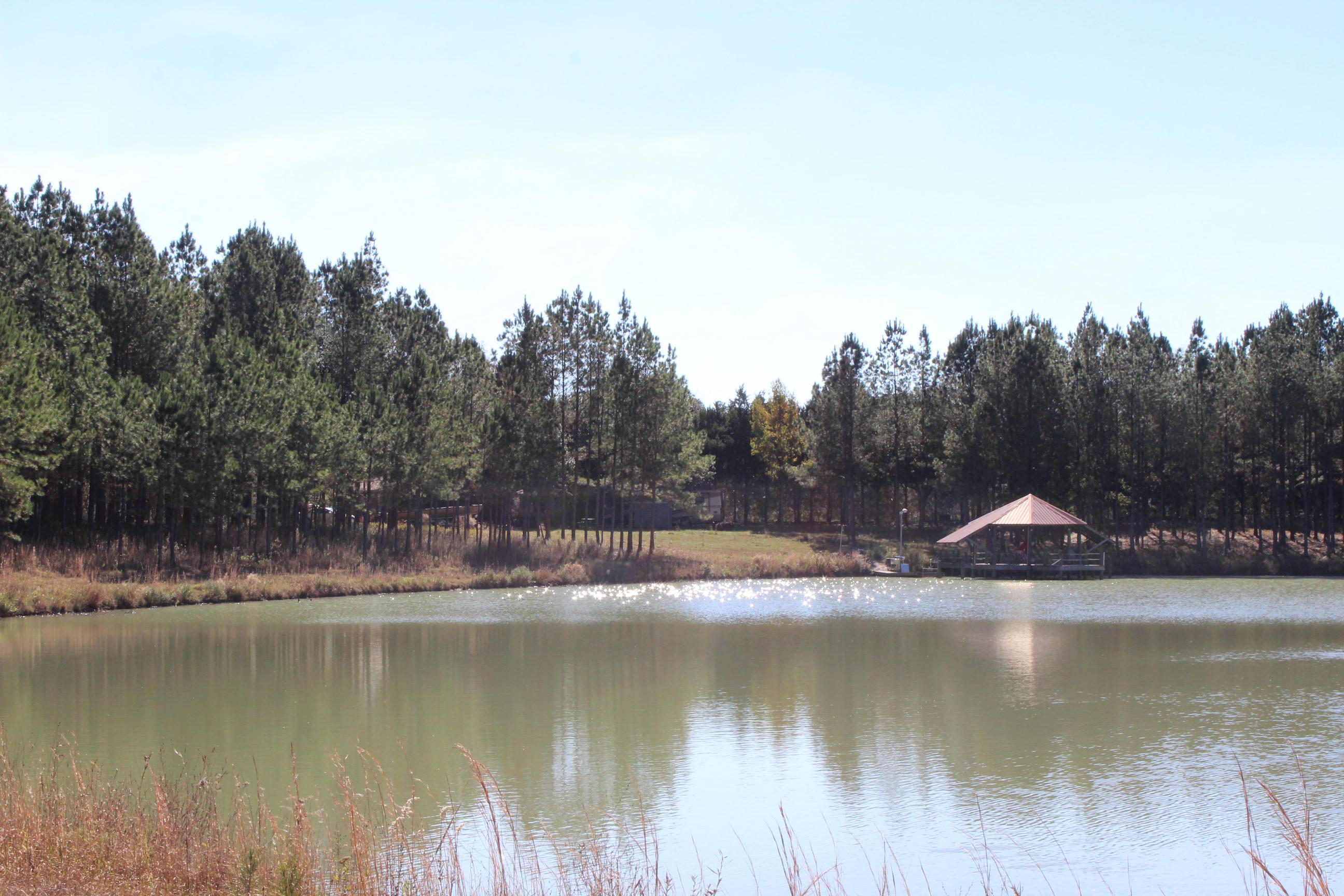 Harvey Lane, Pace Fl - Farm