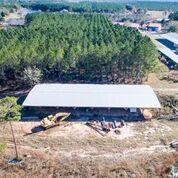 Harvey Lane, Pace Fl - Farm