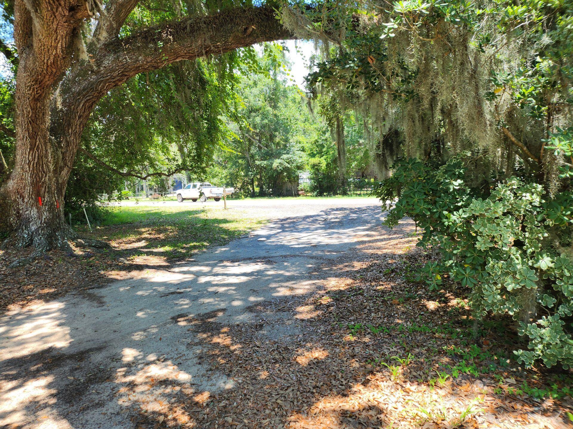 Basin Bayou - Land