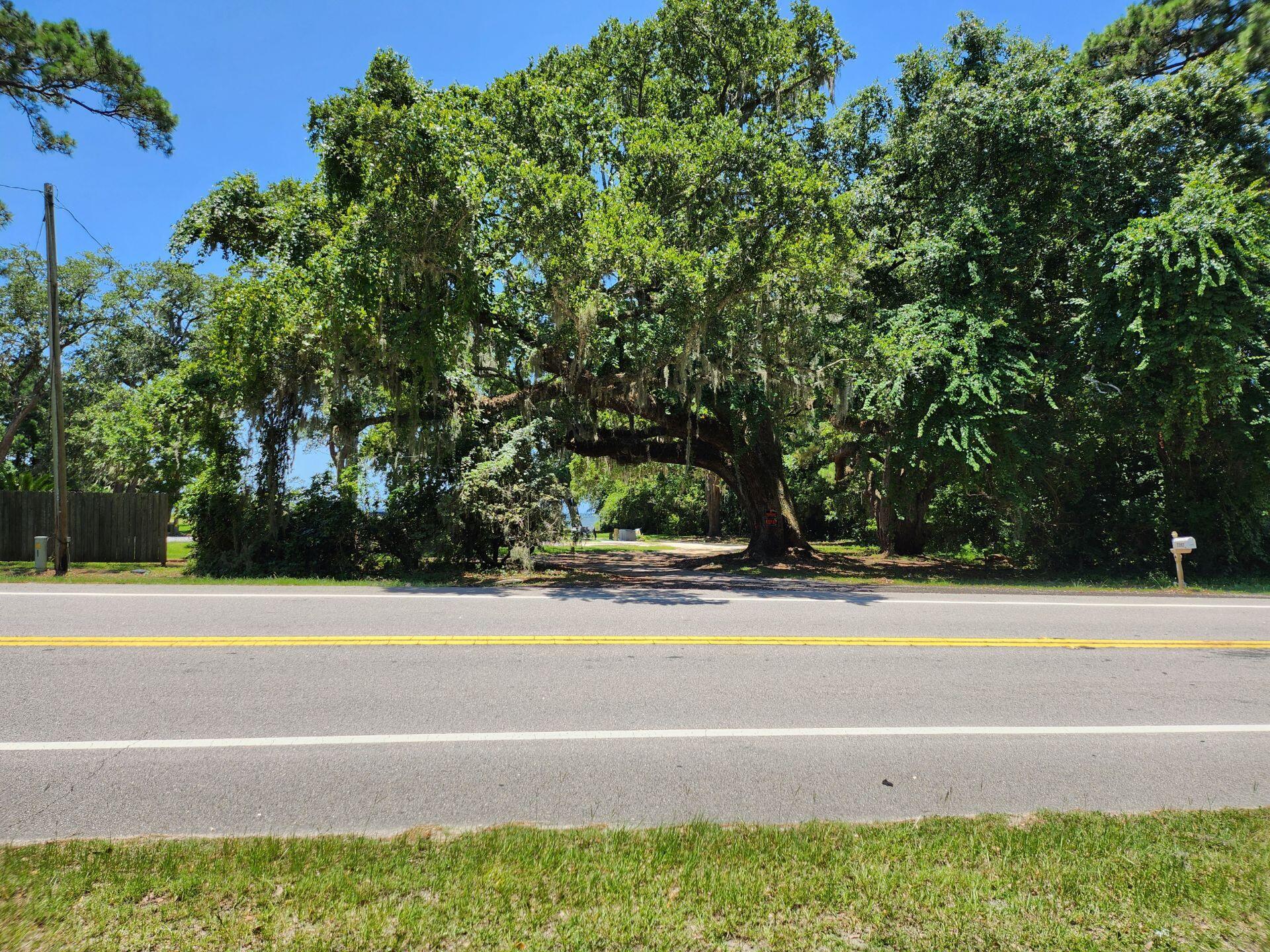 Basin Bayou - Land