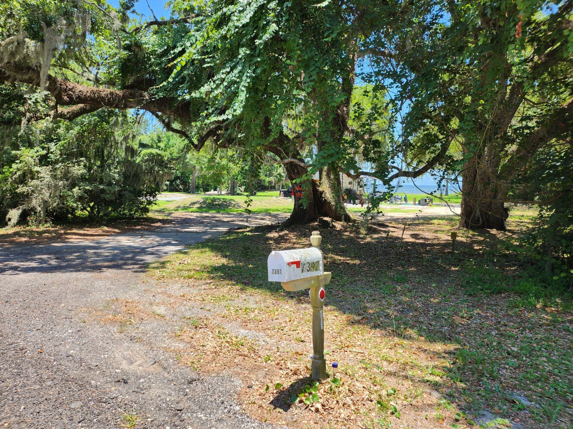 Basin Bayou - Land
