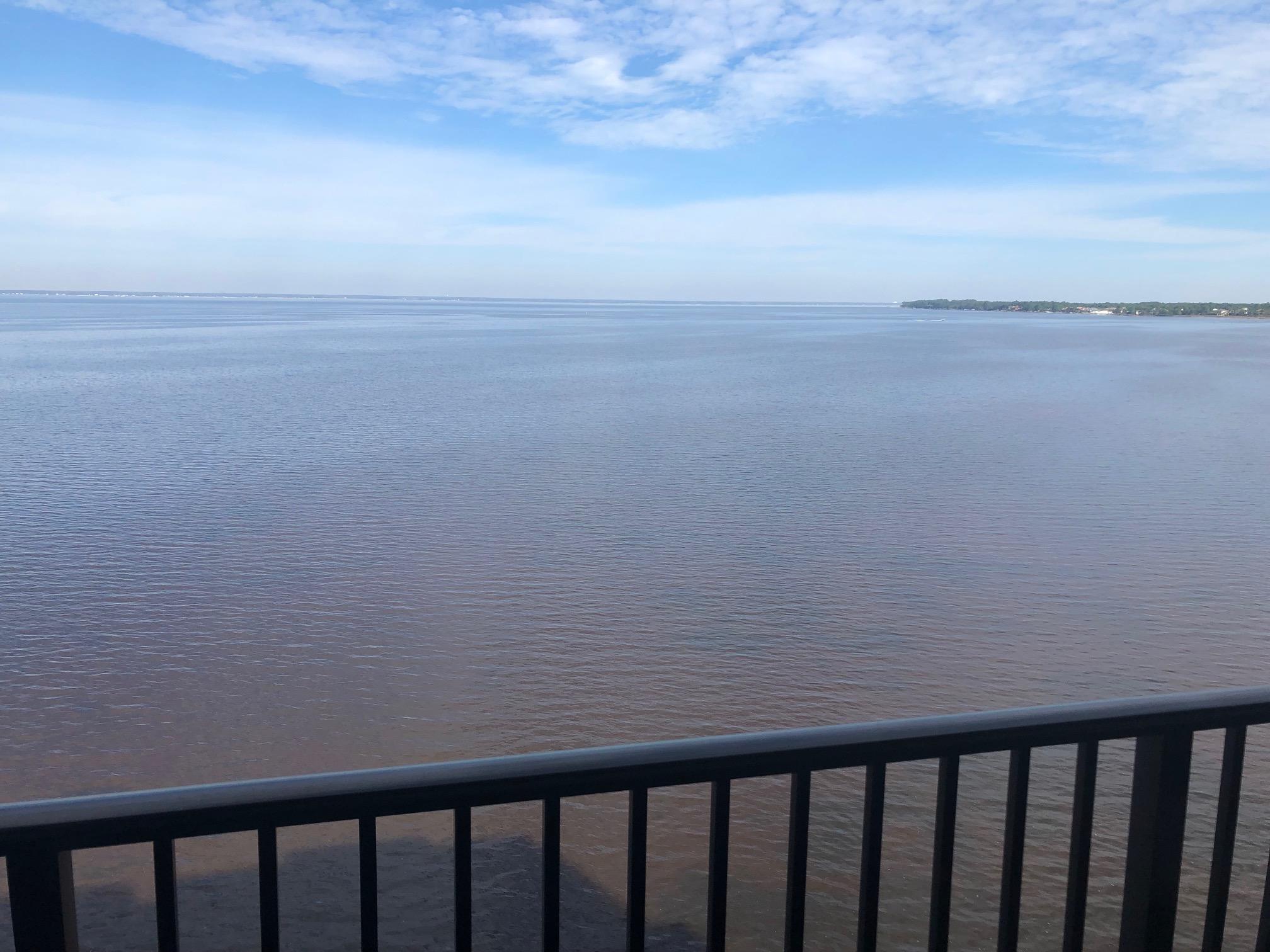 Fantastic 180 degree water views from the balcony right on the Choctawhatchee Bay. Bright, colorful studio unit, currently bringing in over $20k annually from rentals. Unit being sold fully furnished. Watch the fireworks at the Baytowne Wharf from your private balcony. This is a popular rental unit in the heart of Sandestin, adjacent to the Sunset Bay Cafe, Linkside Conference Center and Links golf course, and close proximity to the Sandestin Beach and Village at Baytowne Wharf. Plenty of parking for the building including golf cart parking and charging (subject to permit from condo assoc.) All dimensions and all items of consequence should be verified by buyer.