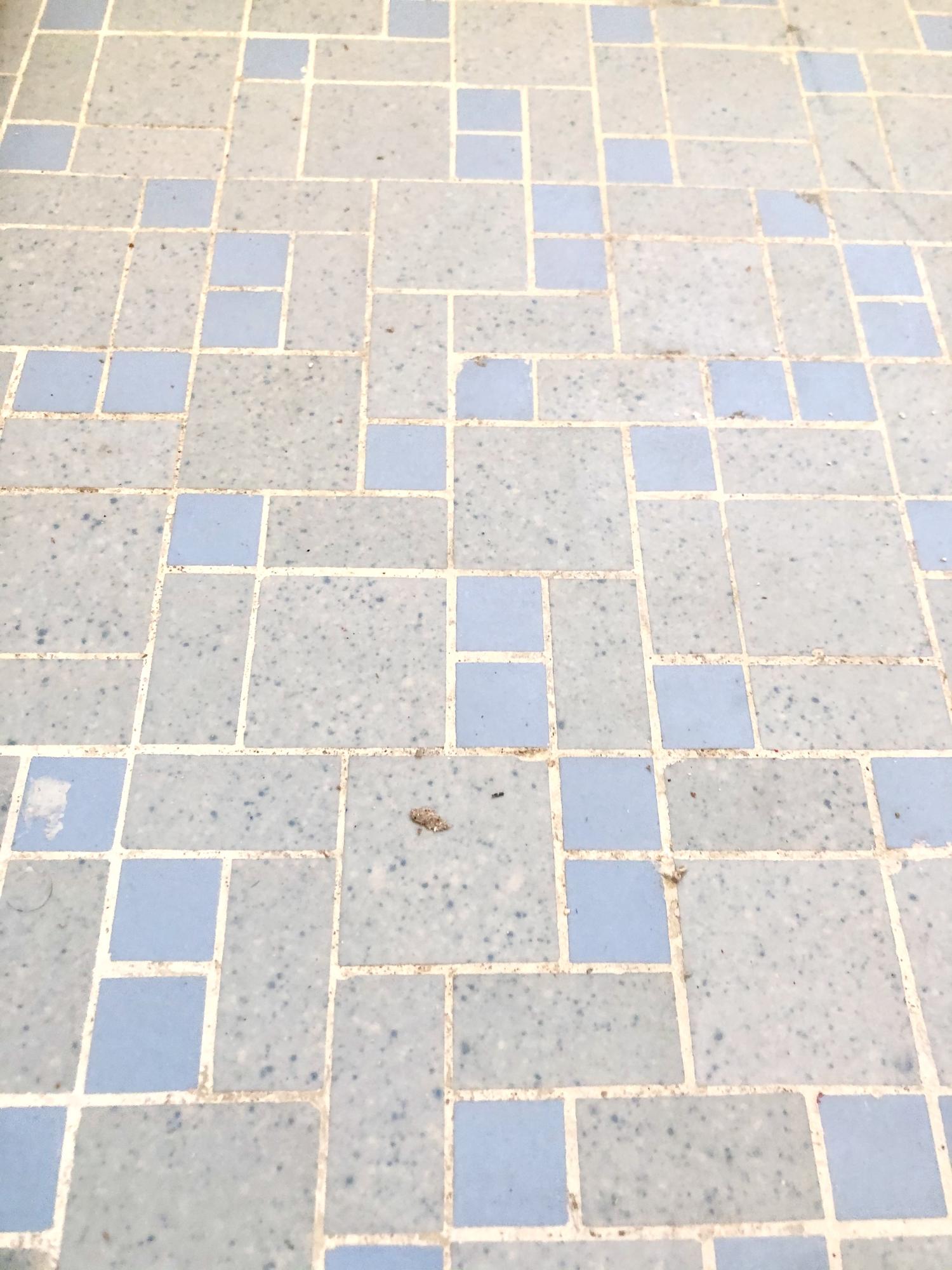 2nd Addition Garniers Beach - Residential