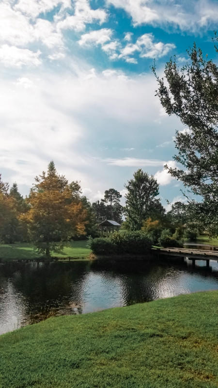 DRIFTWOOD ESTATES - Residential