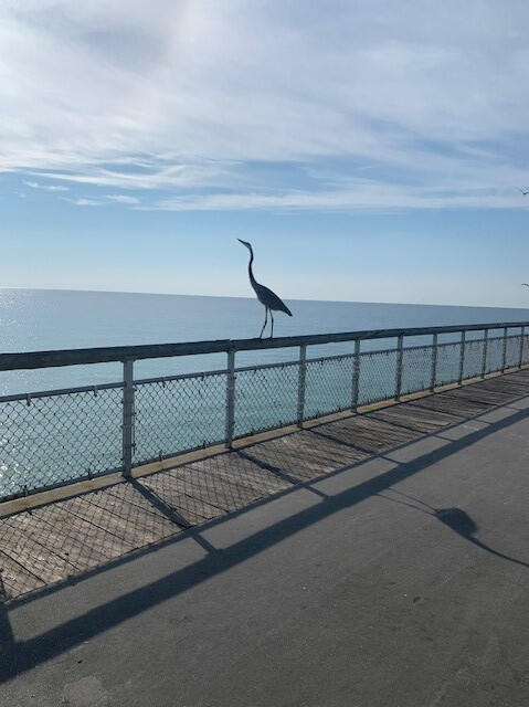 AQUA VILLA - Residential