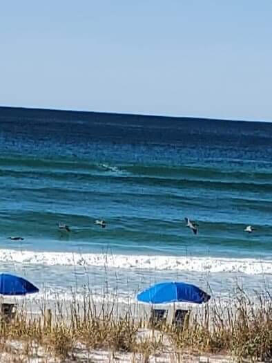 AQUA VILLA - Residential