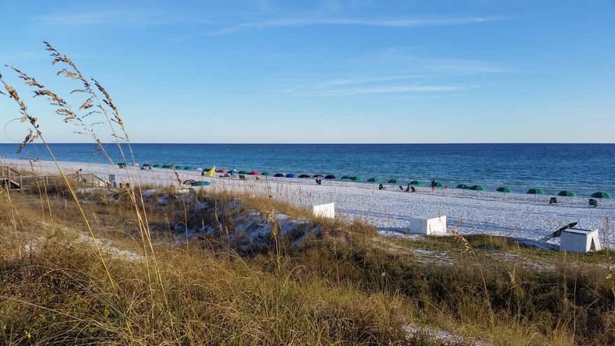 Beautiful View From Second Floor Unit In Building Three. You Can See The Gulf And The Waves With Ease. Nicely Decorated And Well Maintained Condo. Maravilla Is A 33 Acre Development With 500 Ft Of Private Beach And Amenities Galore. Two Swimming Pools (Including One With View Of The Gulf), Tennis Courts, BasketBall Court, Lots Of Green Spaces To Walk, And Of Course That Beautiful White Sand Beach! Development Is Security Gated With Entrances On Scenic Gulf Dr And Hwy 98. This Unit Would Be A Wonderful Vacation Rental Or Second Home. The Unit Comes Fully Furnished With Everything You Need At The Beach. Just Bring Your Toothbrush And Your Favorite Beverage For That Beach Like You Desire. Call Today, You Will Be Happy You Did!