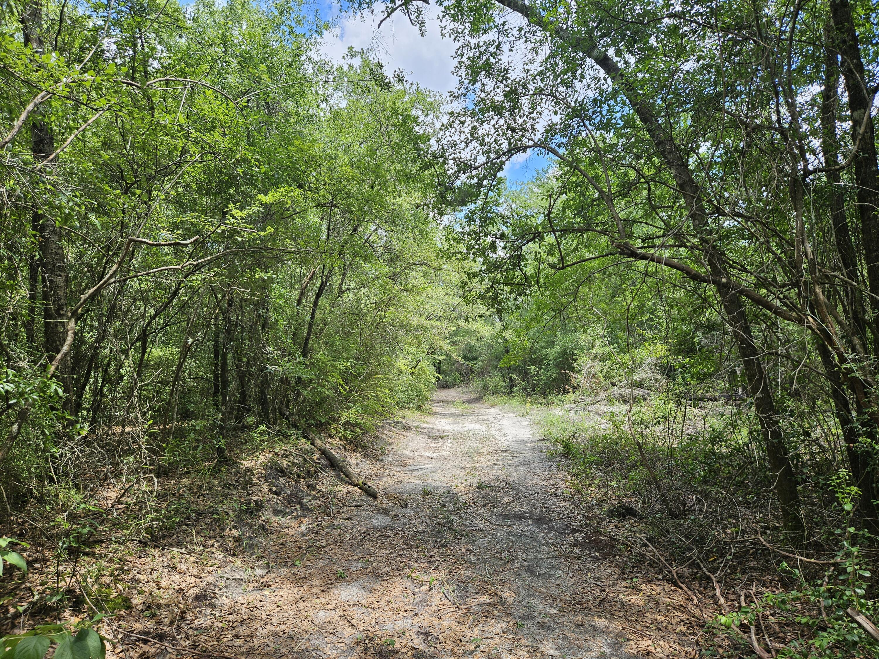Private homesite or campsite close to the Yellow River in Holt. Power pole is in place and a small area cleared for your cabin or RV. Beautiful wooded property only 150 yards from paved Yellow River - Log Lake Rd. There is a small shed on the property that is given no value but will remain. Make your appointment today to see this little slice of paradise that is just shy of 3 acres in Holt, Florida.