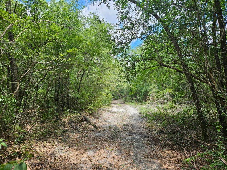 Private homesite or campsite close to the Yellow River in Holt.  Power pole is in place and a small area cleared for your cabin or RV.  Beautiful wooded property only 150 yards from paved Yellow River - Log Lake Rd.  There is a small shed on the property that is given no value but will remain.  Make your appointment today to see this little slice of paradise that is just shy of 3 acres in Holt, Florida.