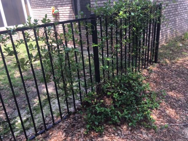 QUAIL TRAIL - Residential Lease