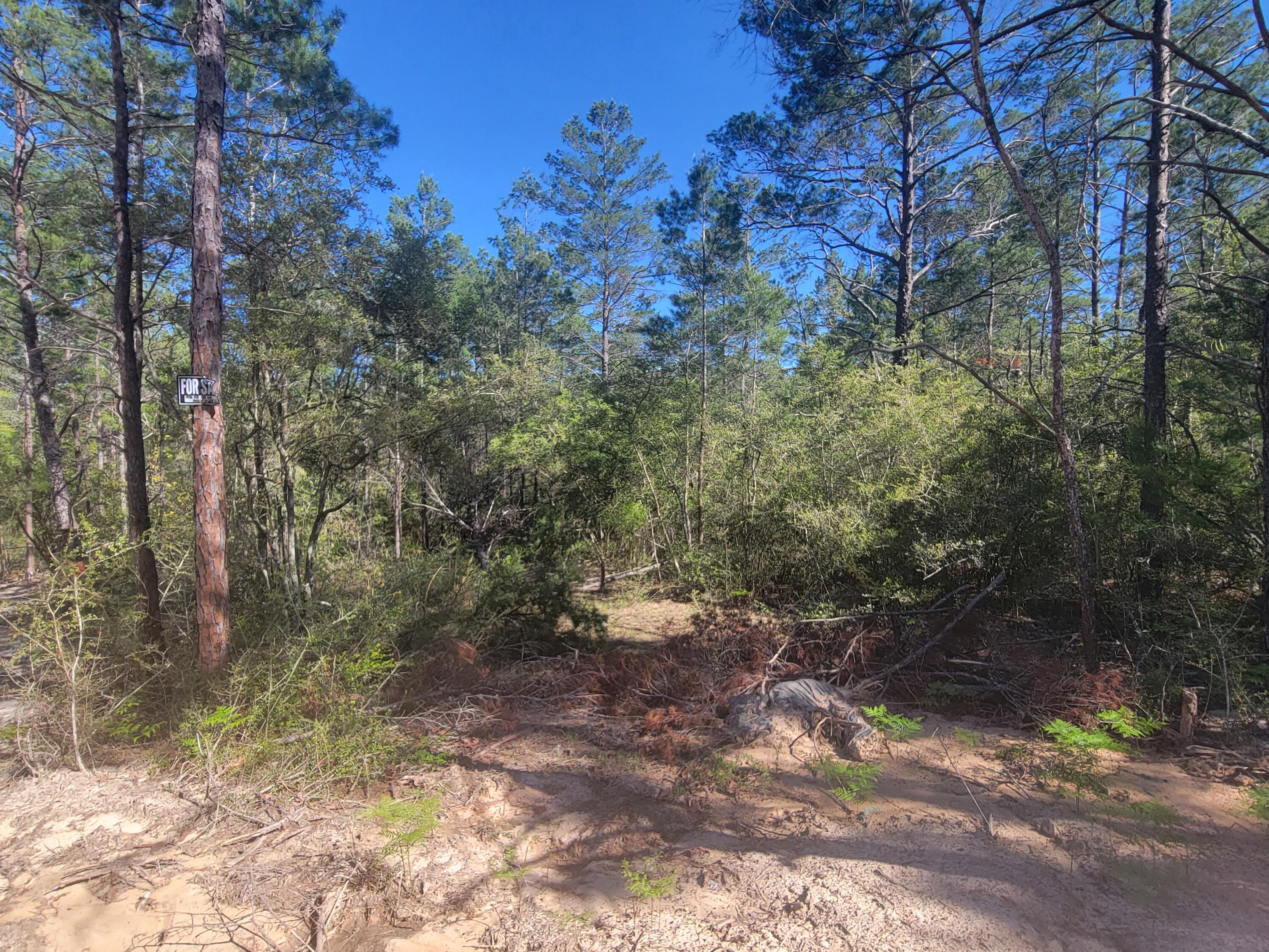 This beautiful wooded lot is at the end of Snapdragon St at the cul-de-sac. Beaver Creek is flowing creek along the back property line according to the Seller, it is surely on the Plat, look under 'Documents'. Buyer to verify and survey needed. There is power at the end of the Snapdragon St. Buyer to verify availability with the Mossy Head Water Department to see if and the cost to water tap installed on the property.