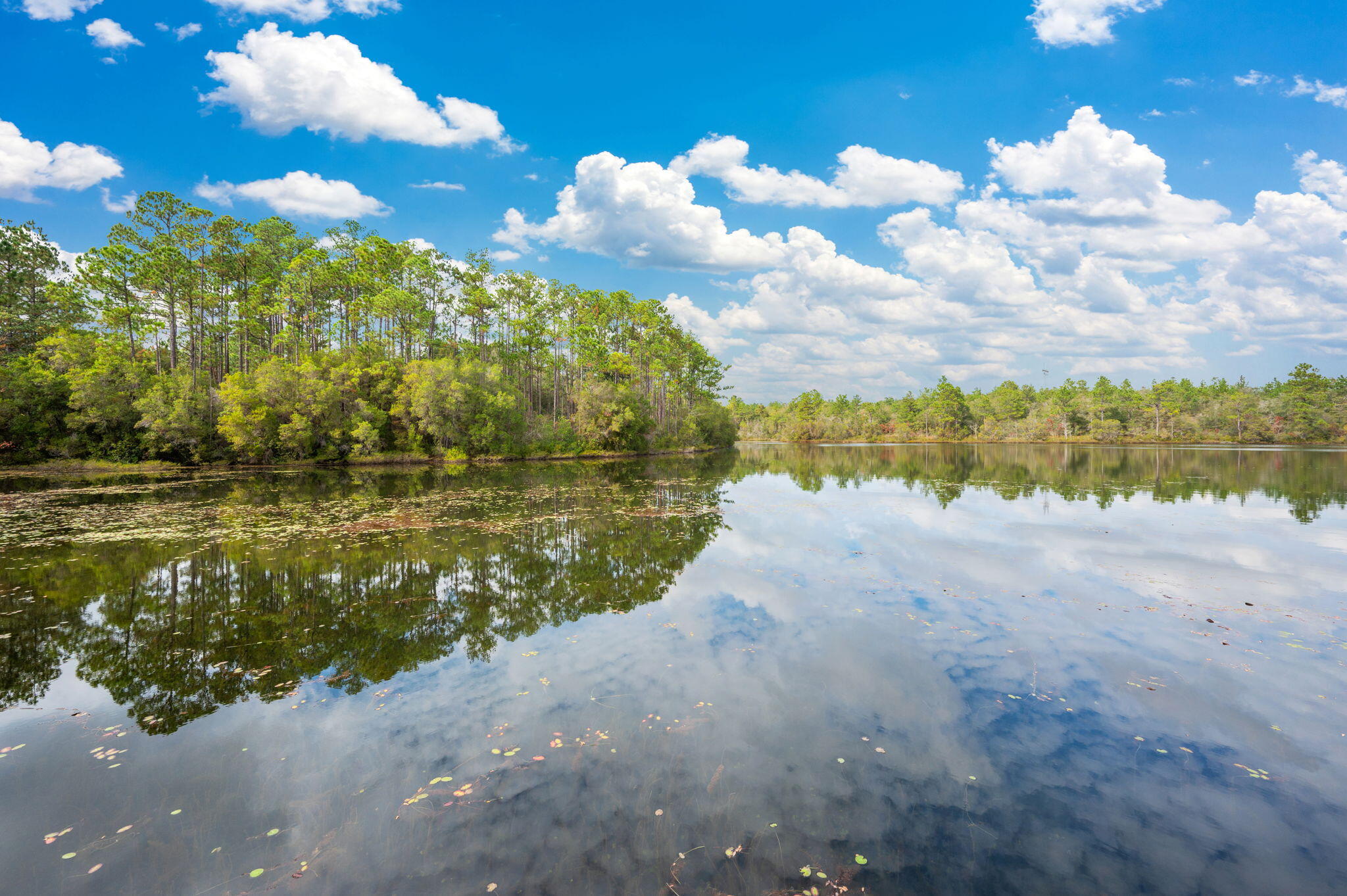 MAGNOLIA LAKE S/D - Residential