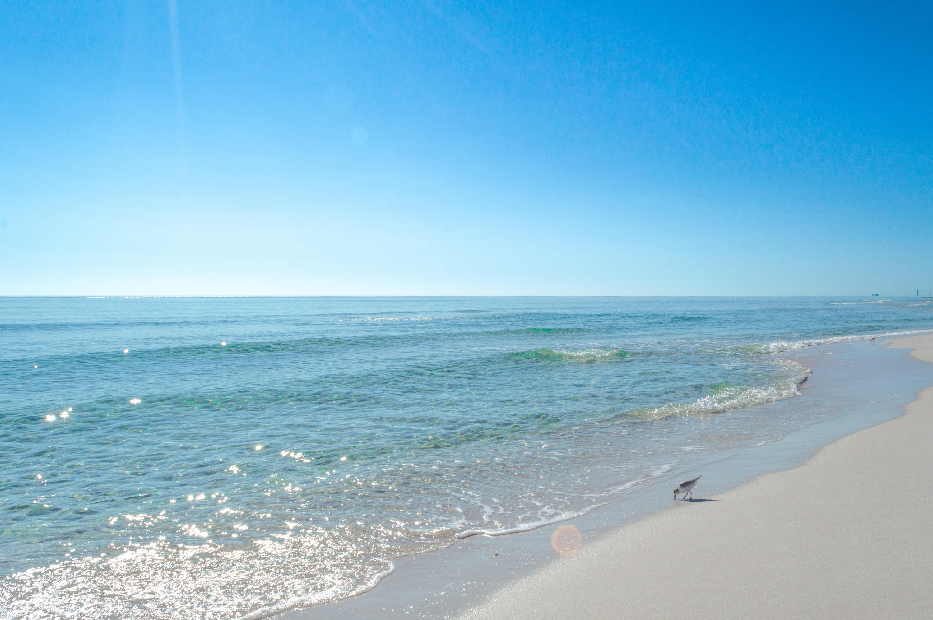 NAUTILUS CONDO - Residential