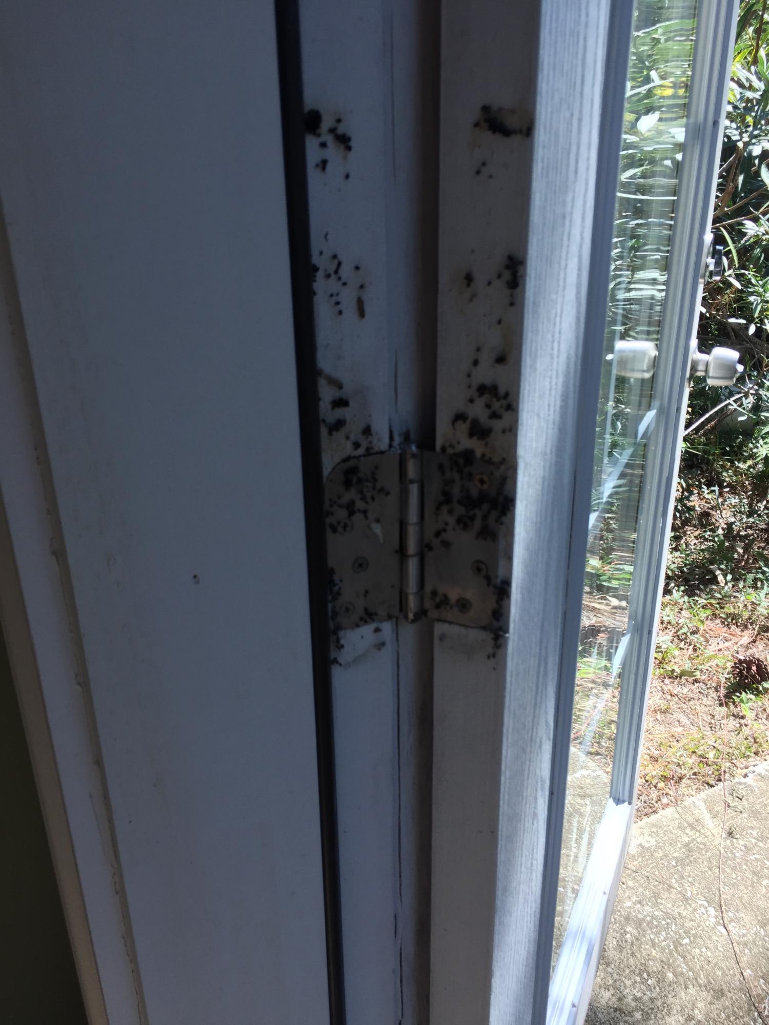 MACK BAYOU ESTATES - Residential