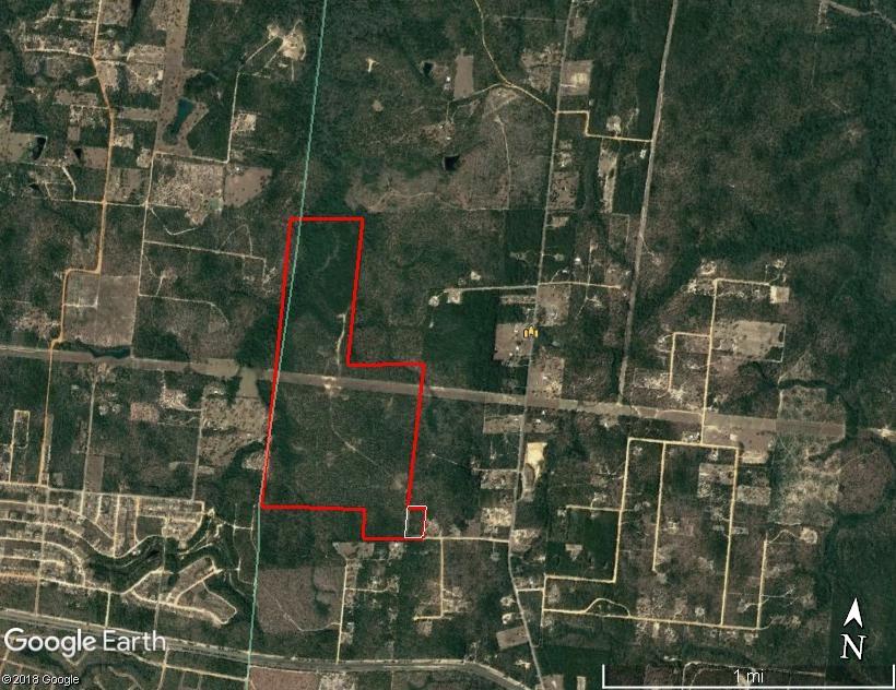 Potential developmental parcel located in growing North Walton County. Minutes from the Mossy Head interstate exit. Property has some timber value as well.
