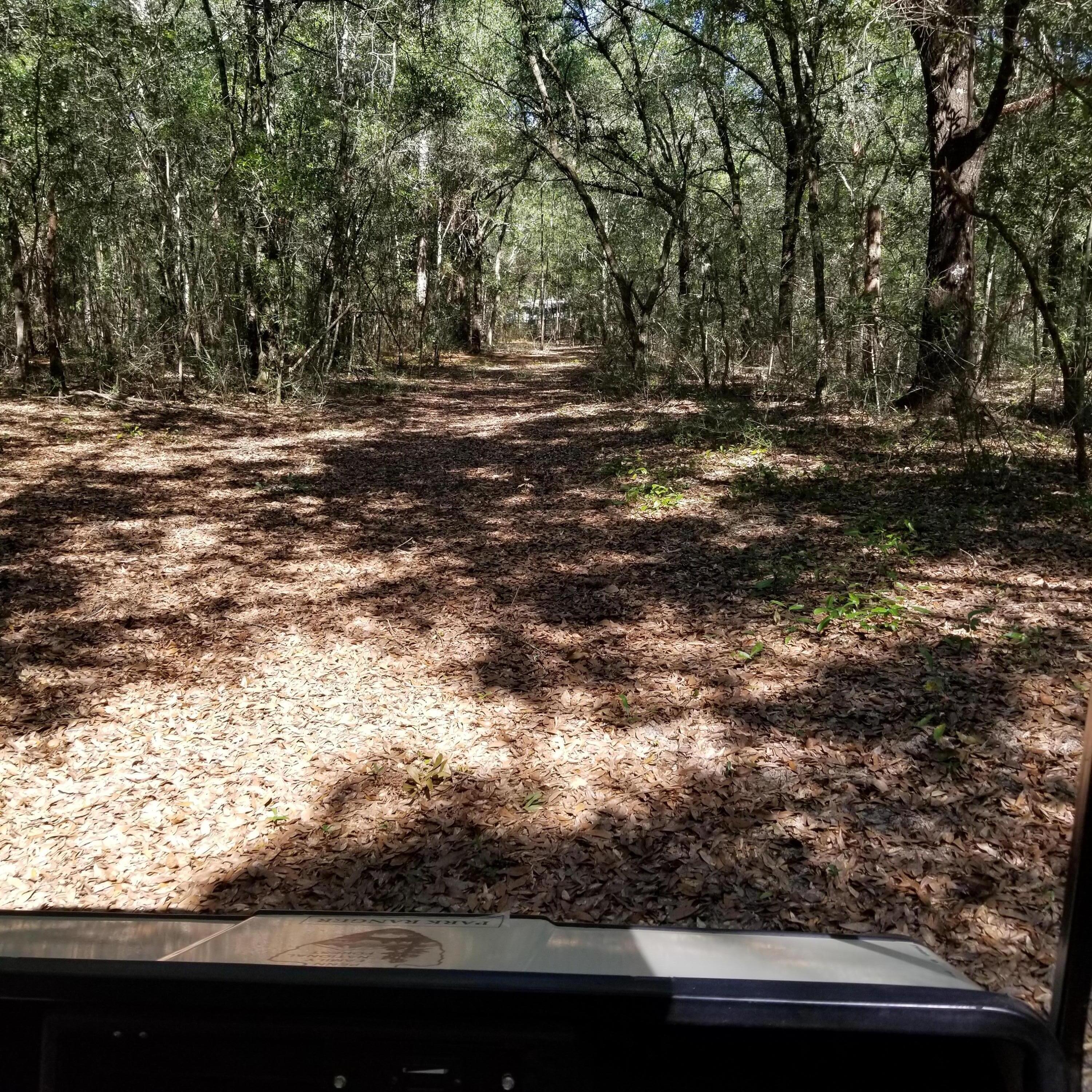 DeFuniak Springs and 30 Min to FWB - Land