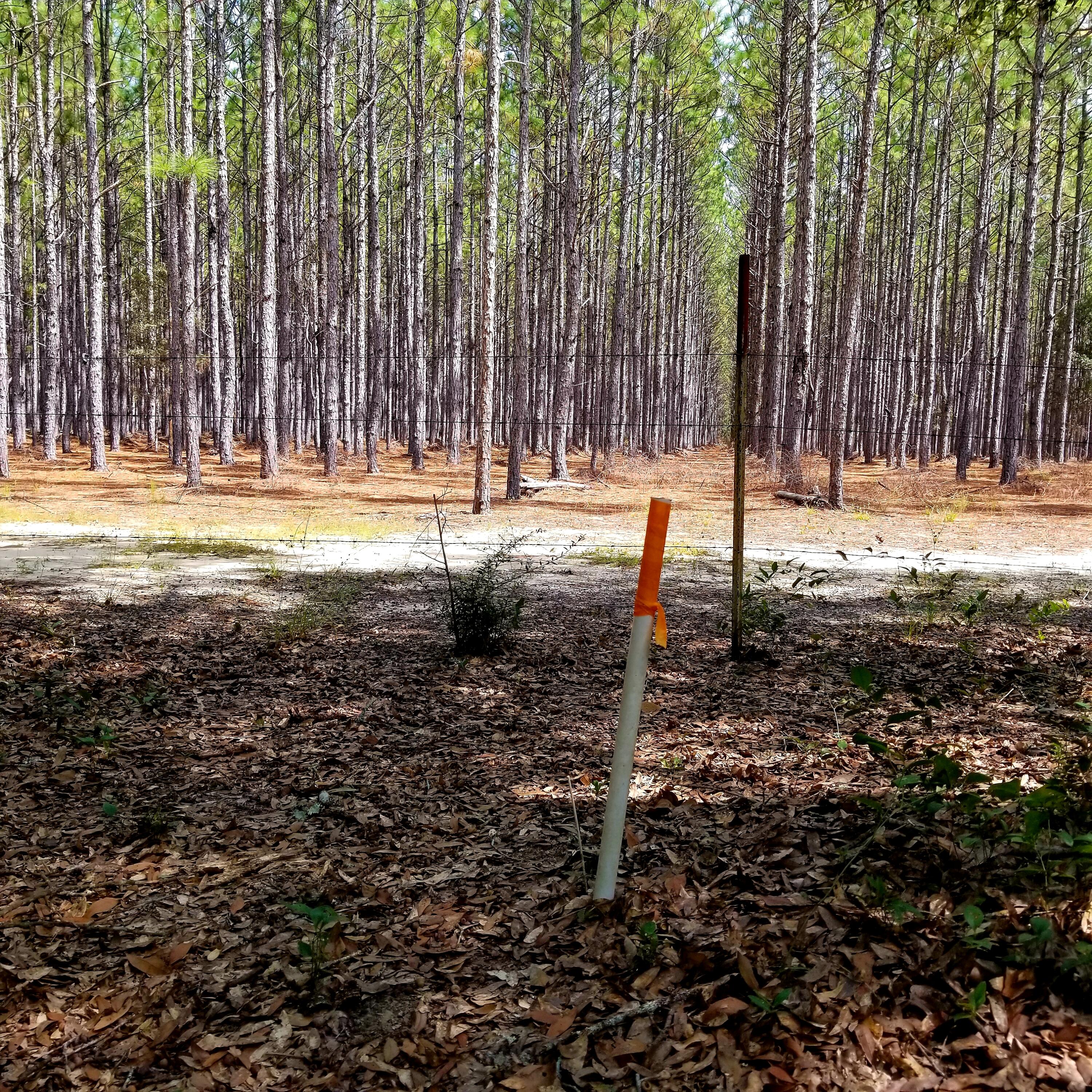 DeFuniak Springs and 30 Min to FWB - Land