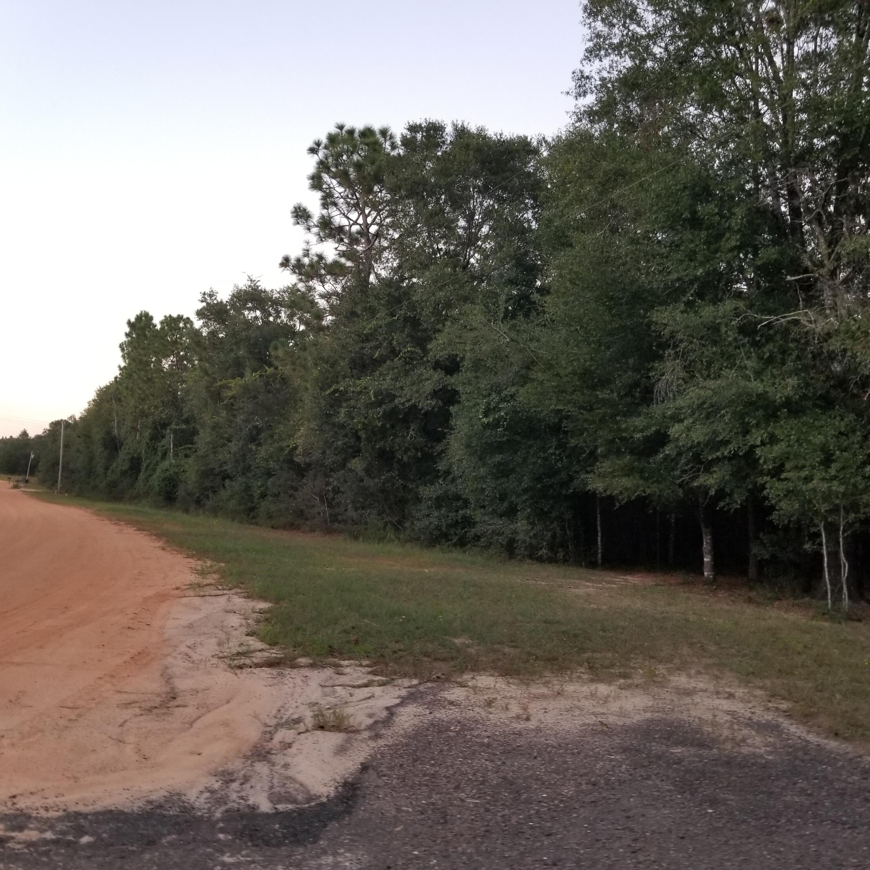 DeFuniak Springs and 30 Min to FWB - Land