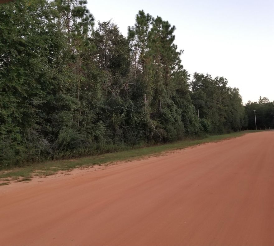 Peaceful 4.15 acre wooded lot located on a partially paved road. Rectangular, level lot consists of pine trees, magnolia trees along with other native trees. Clearing in the middle is from an old fire lane that is no longer in use. The property abuts a pine tree plantation that consists of over a hundred acres of beautifully lined pines. Build your dream home, sit back and enjoy the deer passing through your yard. Just off Hwy. 90 and Hwy 1087. High and dry! Close to Eglin Airforce base and only 36 miles to the gorgeous white sands of Destin Beach on the Emerald Coast. Mobile homes and farm animals welcome! Septic and well will need to be installed.