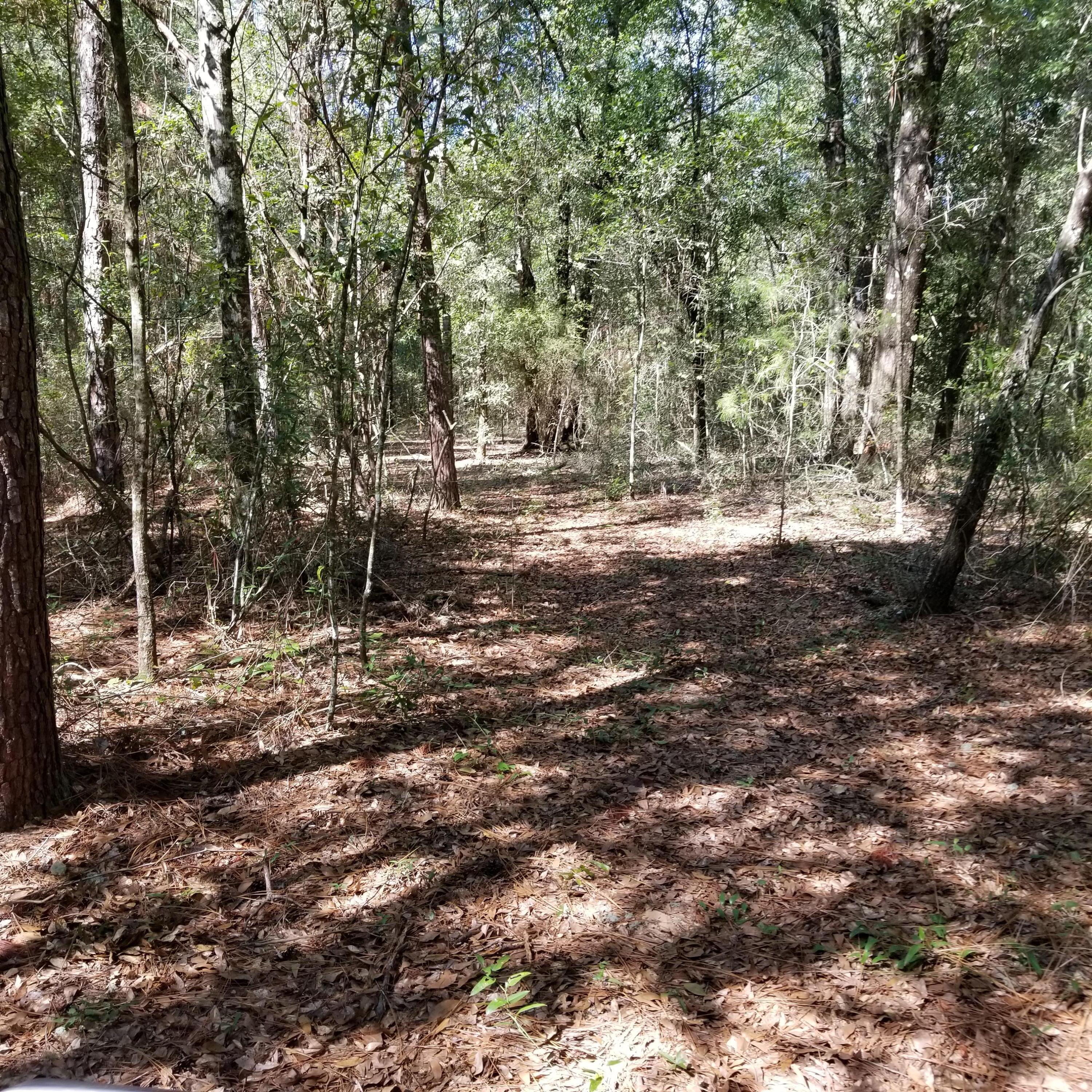 DeFuniak Springs and 30 Min to FWB - Land