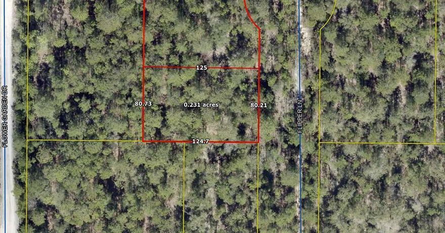Bring all offers. 0.23 acre wooded lot in DeFuniak Springs, FL. There are no existing utilities. Well, power, & septic will be needed. High & dry, property is in flood zone X per the Walton County GIS map & does not appear to have any wetlands. Access to the property on Flipper Ln is not cleared at this time. Great location no matter what direction you need to go. Easy access to the I-10 & CR 285 S. Approx. 45 mins to the beautiful white sandy beaches of the Emerald Coast. Buyer is responsible for verify building codes, zoning regulations, restrictions, wetlands and flood zones, etc with proper local authorities to ensure the buyer will be able to utilize the property for intended use. Information contained within this listing is deemed to be accurate. Adjacent lots are also available.