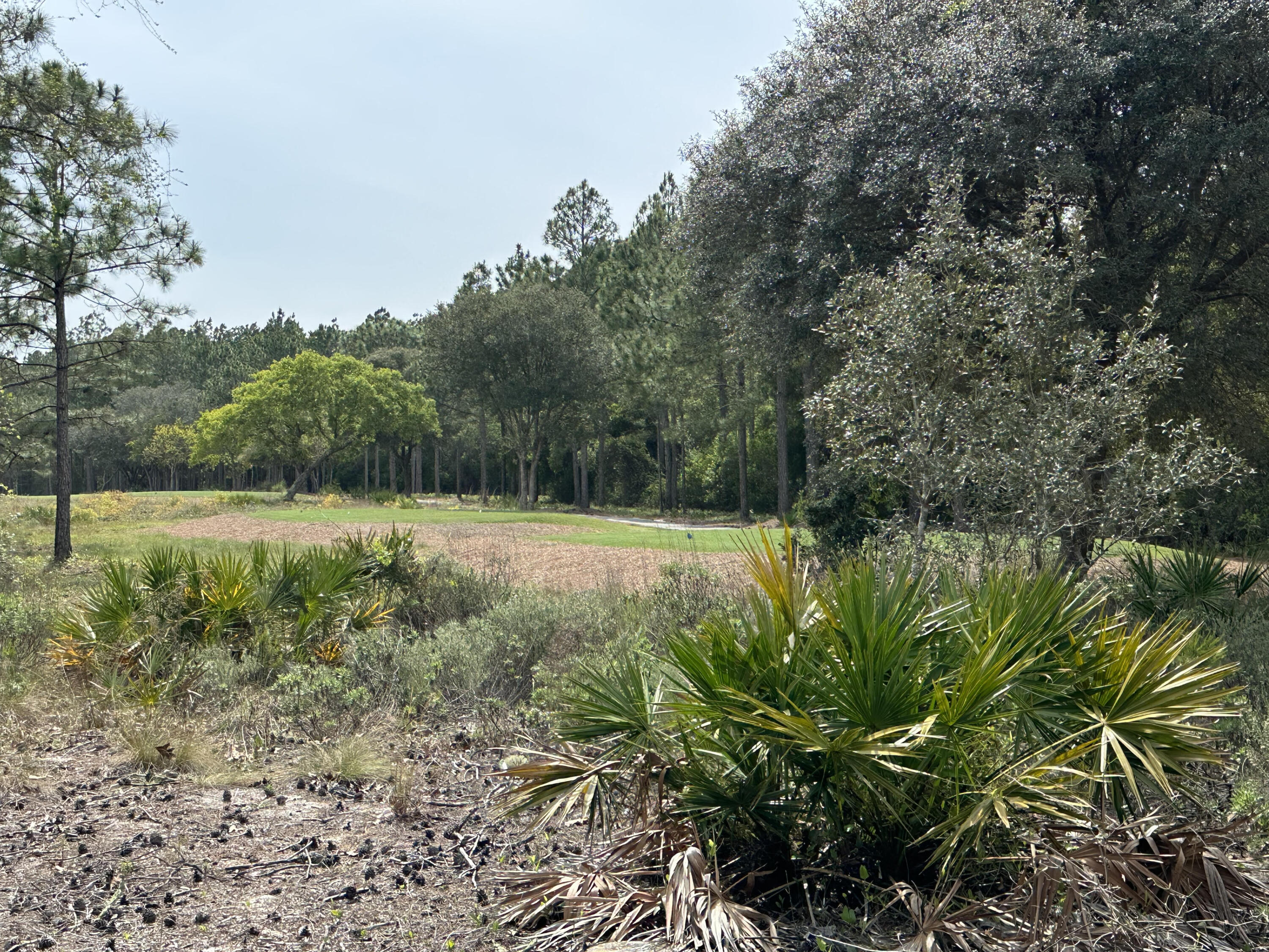 WILD HERON PHASE I - Land