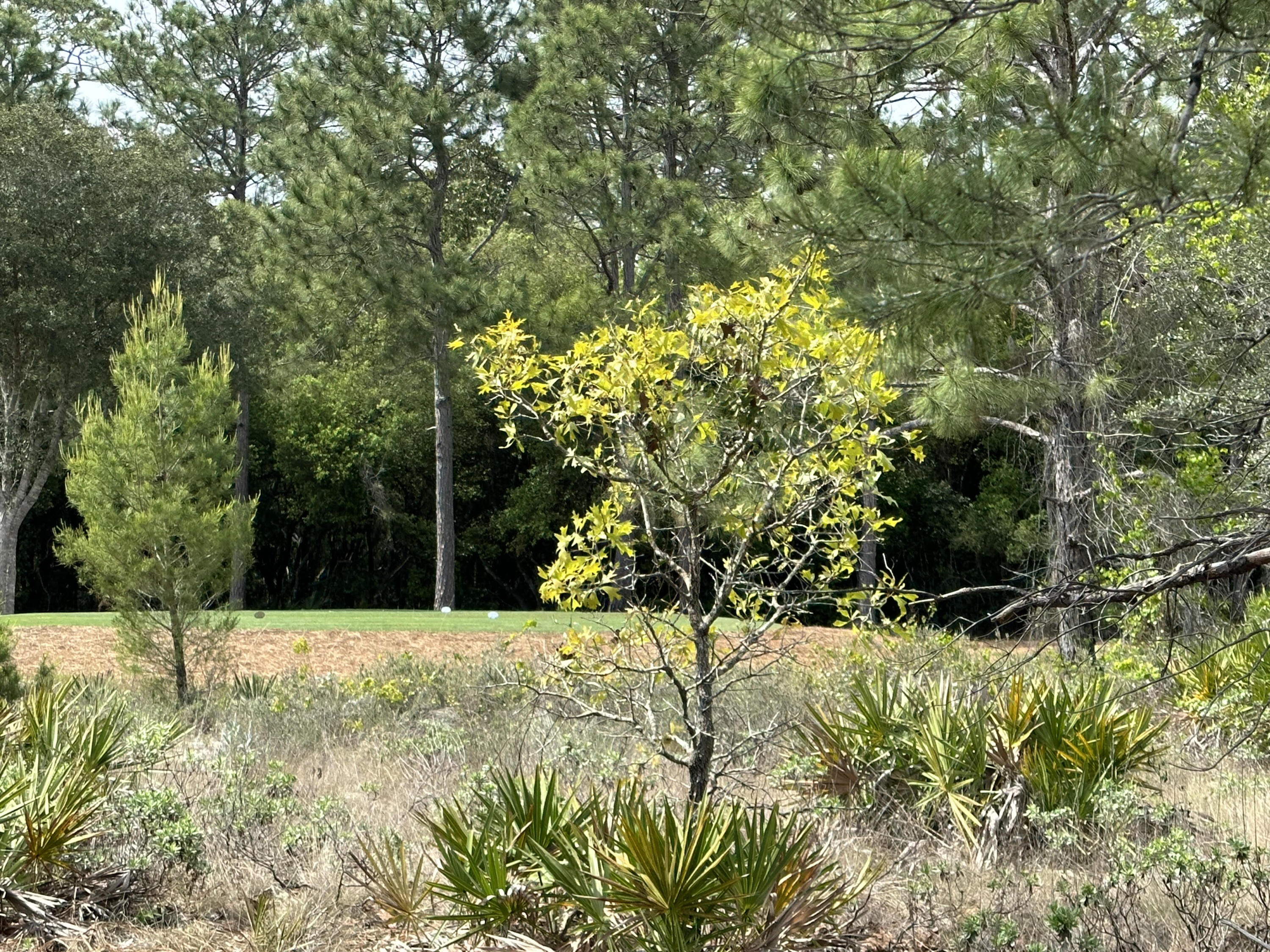 WILD HERON PHASE I - Land