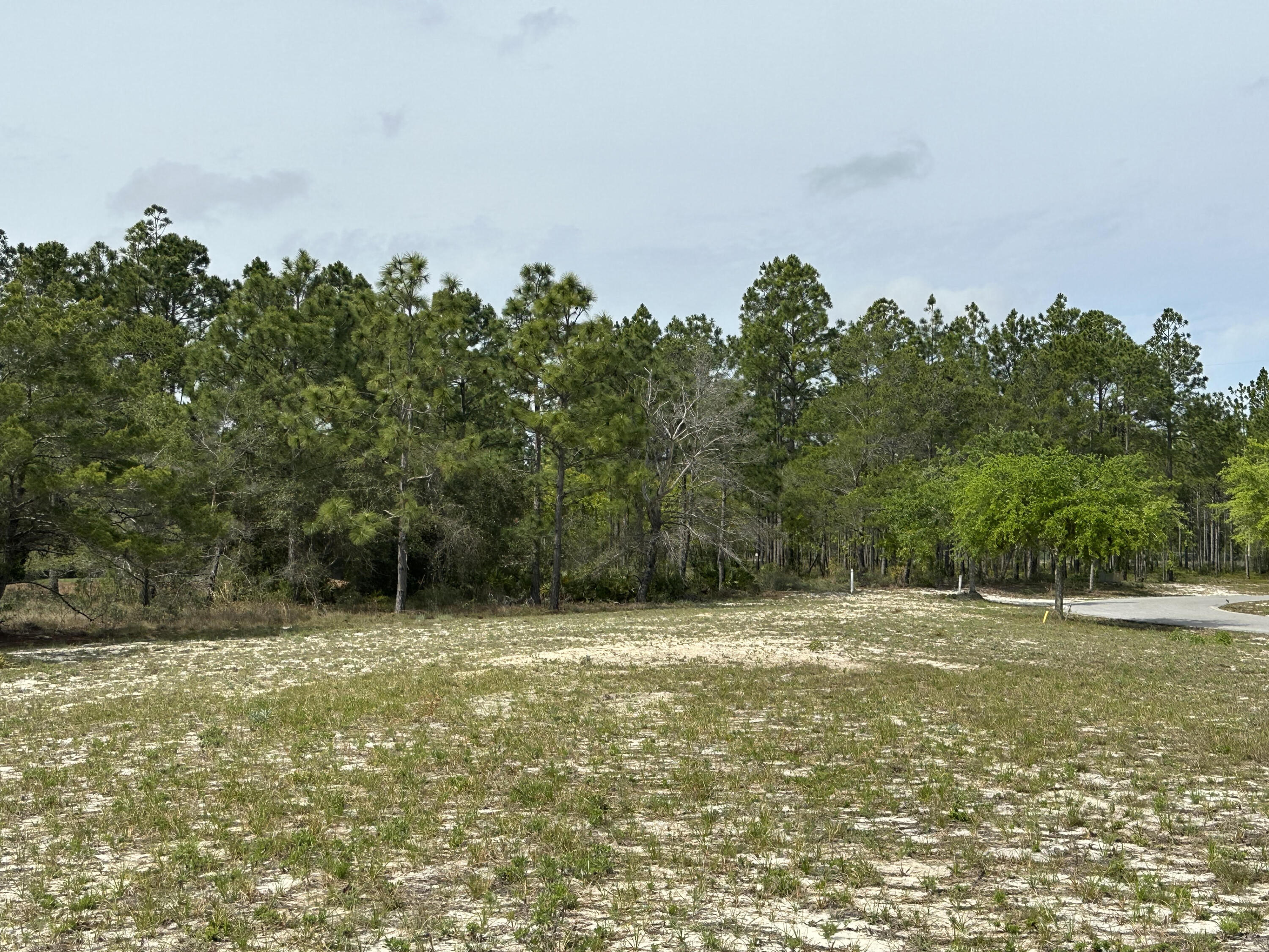 WILD HERON PHASE I - Land