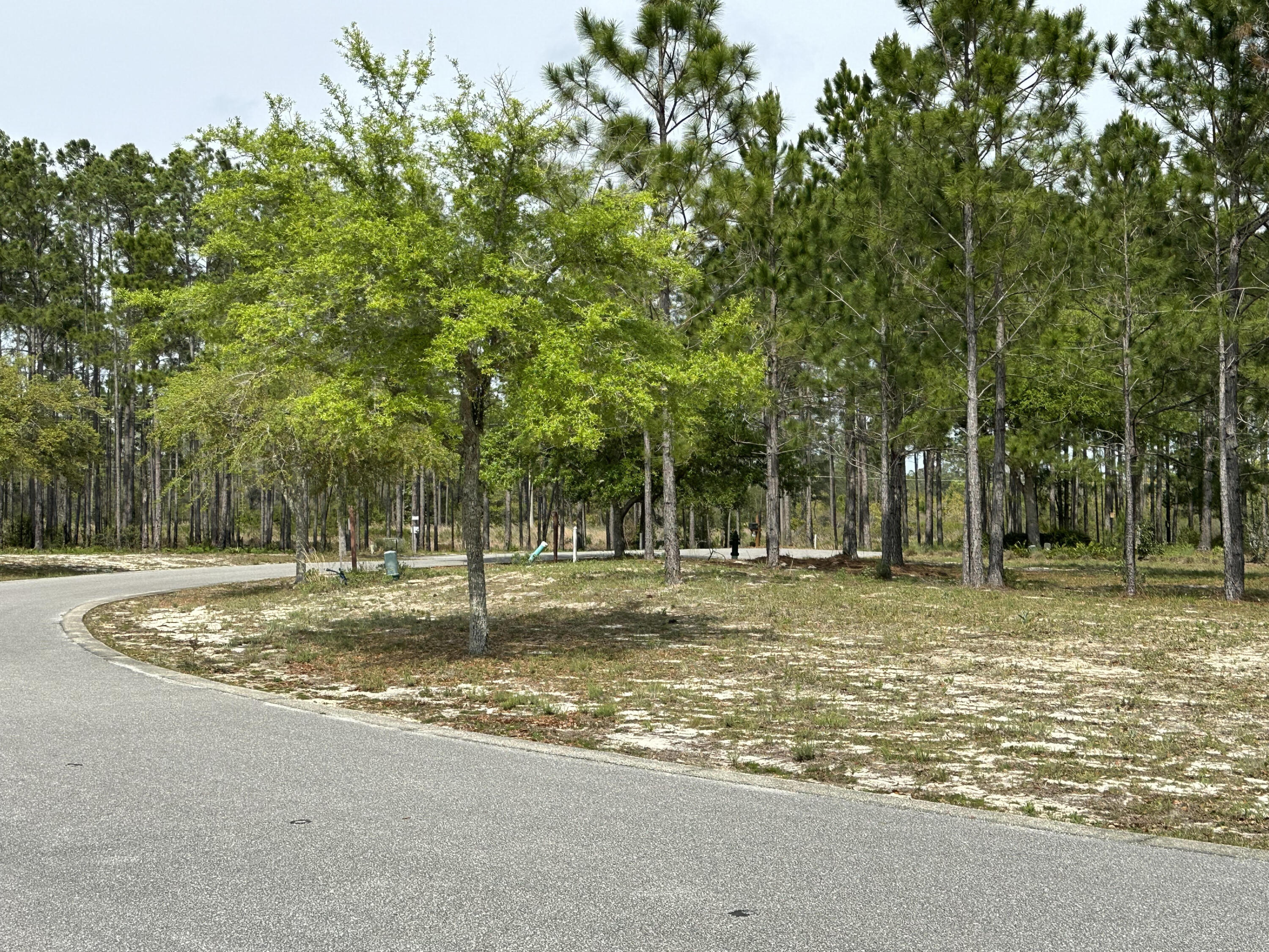 WILD HERON PHASE I - Land