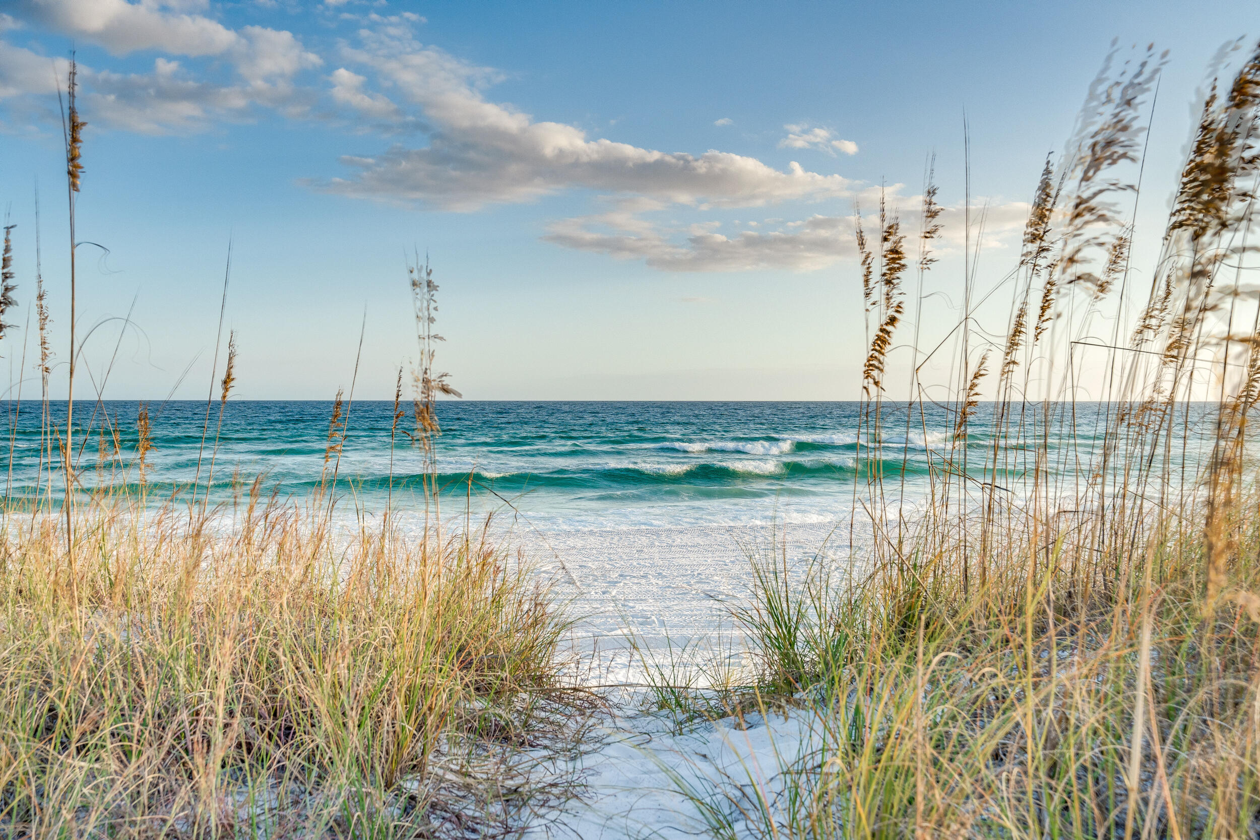 Parkside at the Henderson - Residential