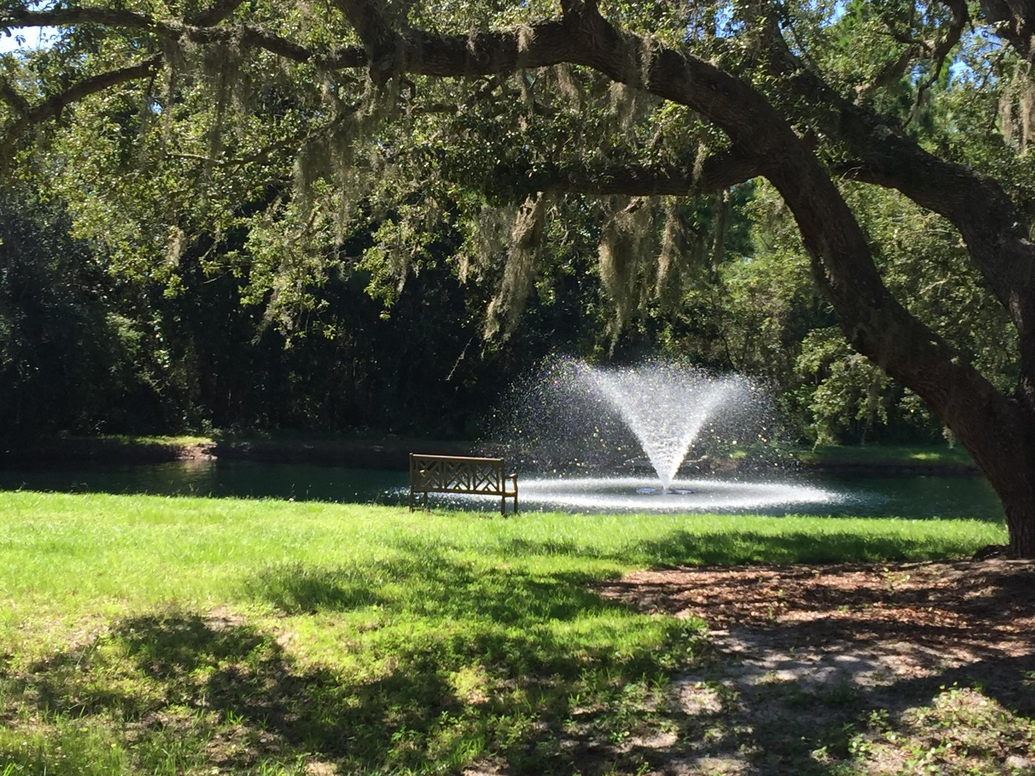 CARSON OAKS - Residential