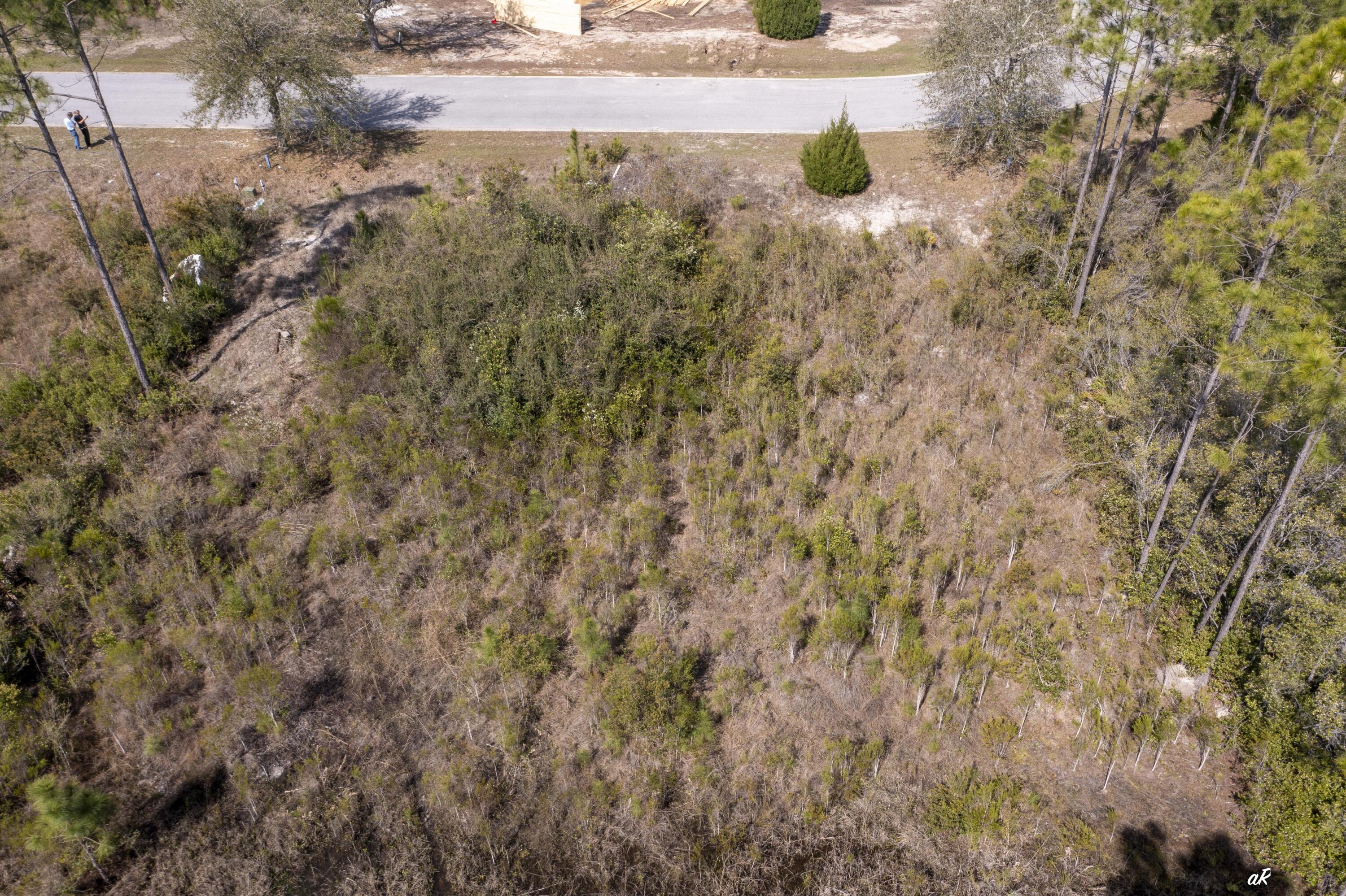 Shallow Reed - Residential