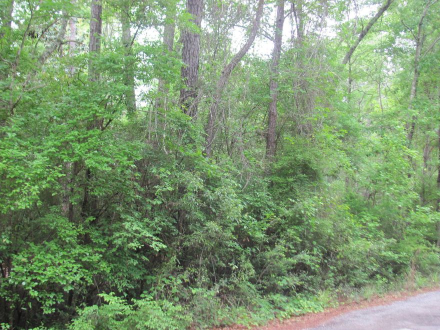 Great lot on a paved road. Lot is unrestricted and mobile homes are allowed here. Would be a perfect location for a fish camp as this lot is close to Black Creek area. Close to boat ramp access. Survey available. Don't miss out, call today.