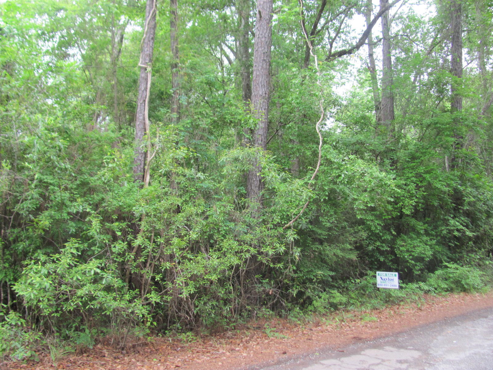 SMOKEHOUSE LAKE ESTATES UNREC - Land